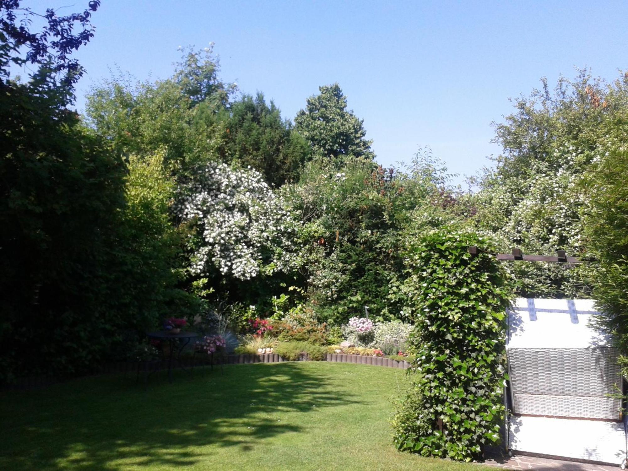 Haus Kollwitzweg - Ferienwohnungen Goslar Zewnętrze zdjęcie